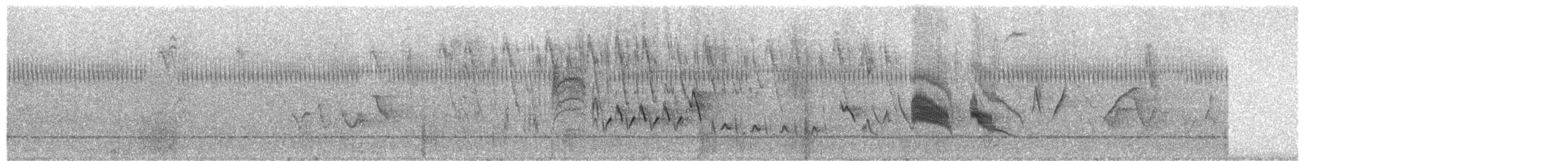 エボシキクタイランチョウ - ML623672828