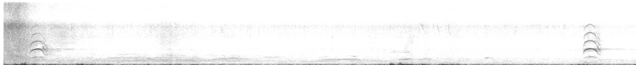 moták tichomořský - ML623688840