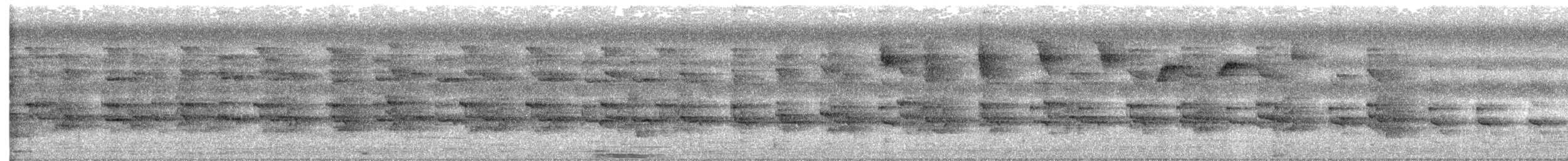 Râle à collier - ML623691353