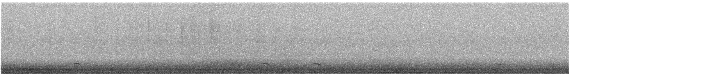 Common Scoter - ML623701408