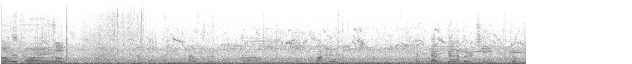 Western Sandpiper - ML623707198