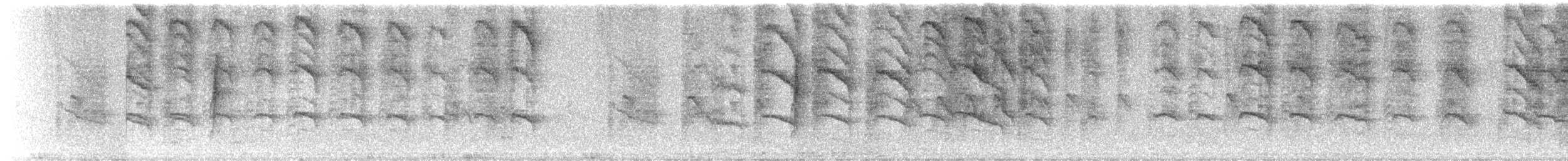 シマキンパラ - ML623707296