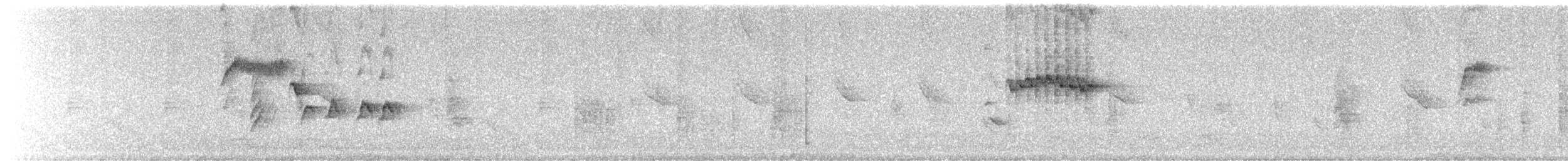 シロハラミソサザイ - ML623708530