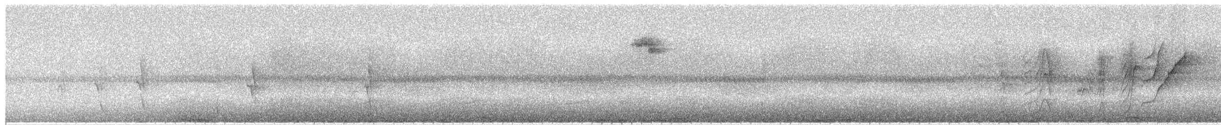 McGregor's Cuckooshrike - ML623708533