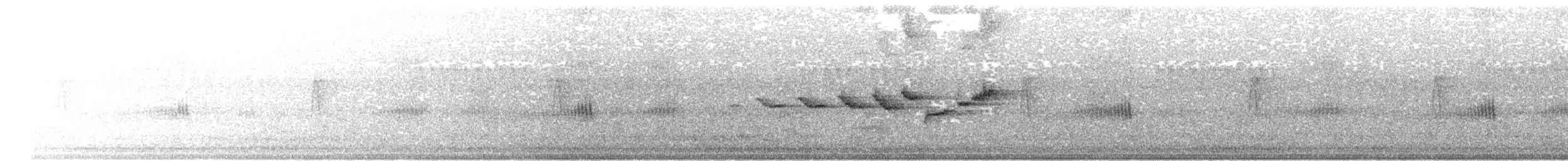 Fan-tailed Warbler - ML623716399
