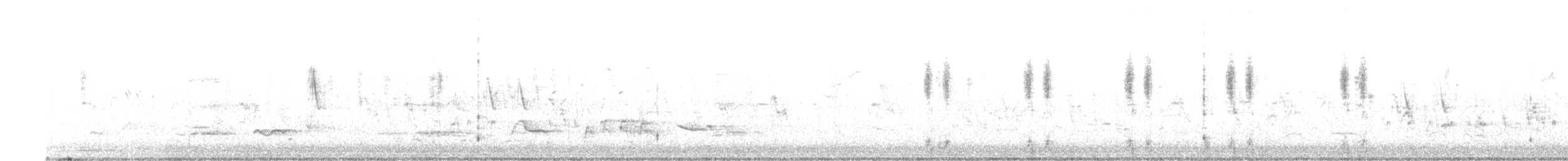 Австралийская широконоска - ML623717984