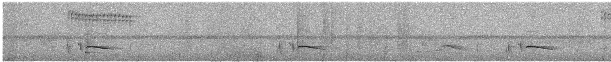hvitkinndompap - ML623718796