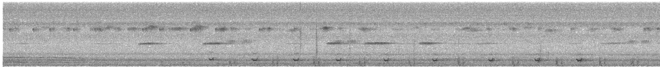 Plain Bush-hen - ML623719458