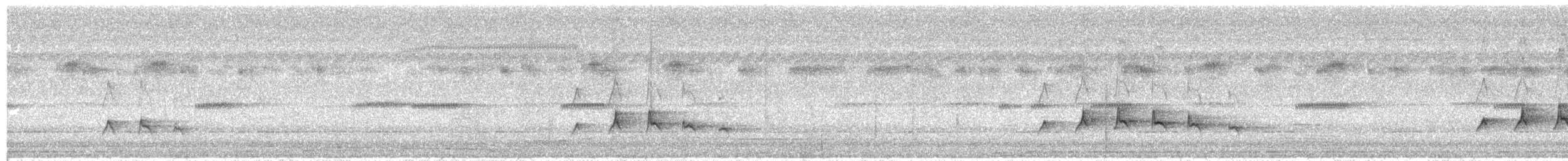 Coucou des Philippines - ML623719513