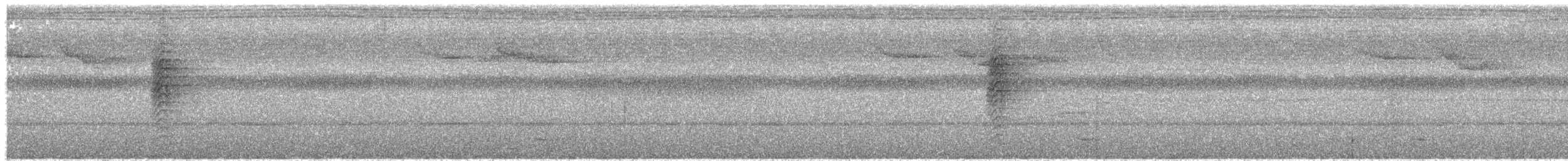 Visayan Blue-Fantail - ML623719702