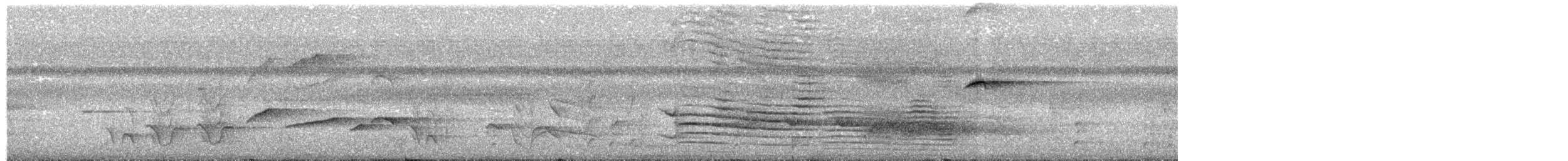 Short-tailed Drongo - ML623719752