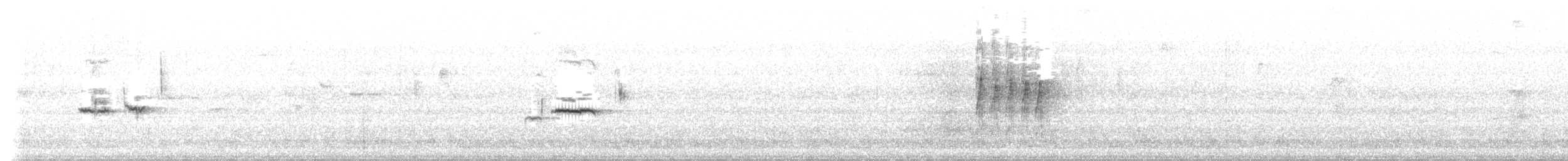 chickadee sp. - ML623724361