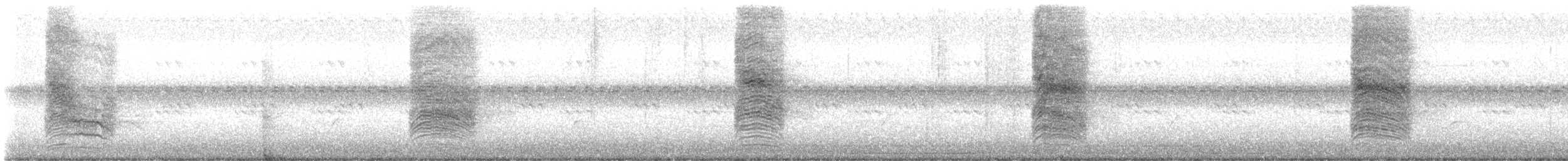 Gray Catbird - ML623730425