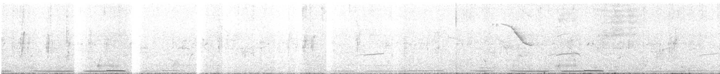 West Peruvian Dove - ML623733786