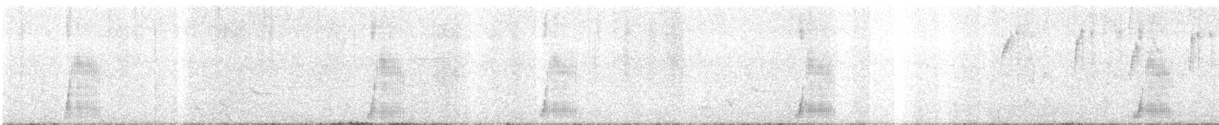 Croaking Ground Dove - ML623734936