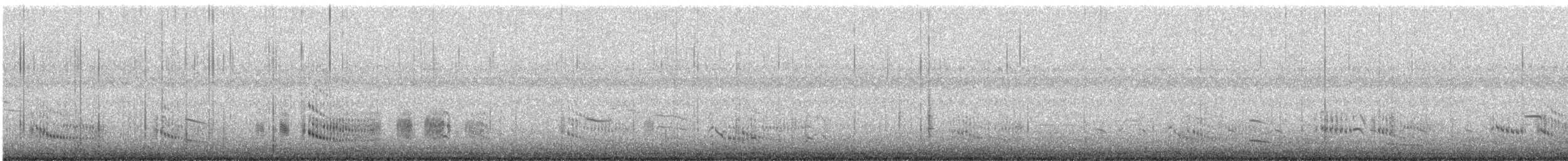 Royal Tern - ML623736028