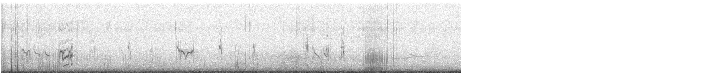 White-rumped Sandpiper - ML623736288
