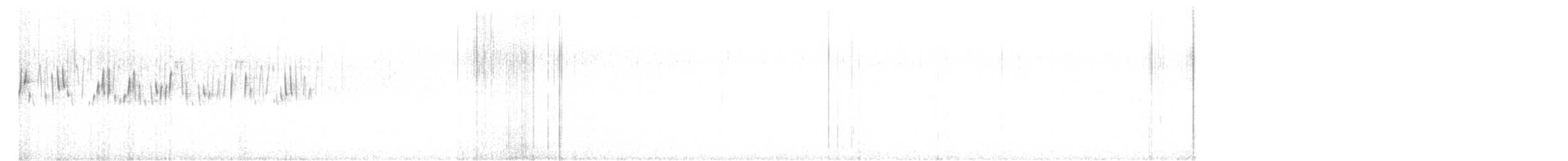 White-winged Fairywren - ML623738855