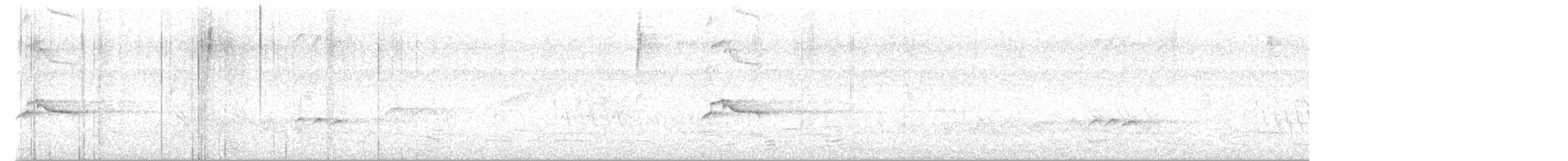 Piratic Flycatcher - ML623747059