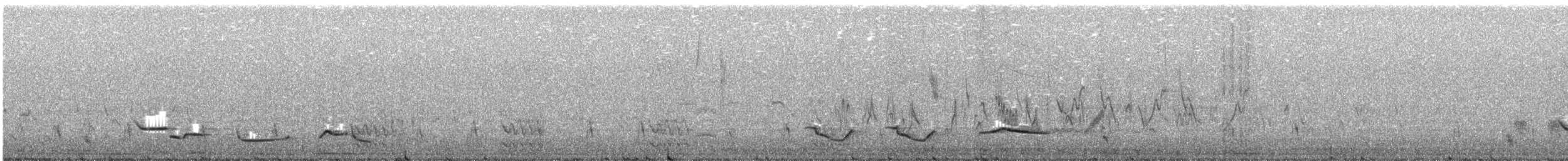 Merle fauve - ML623751447