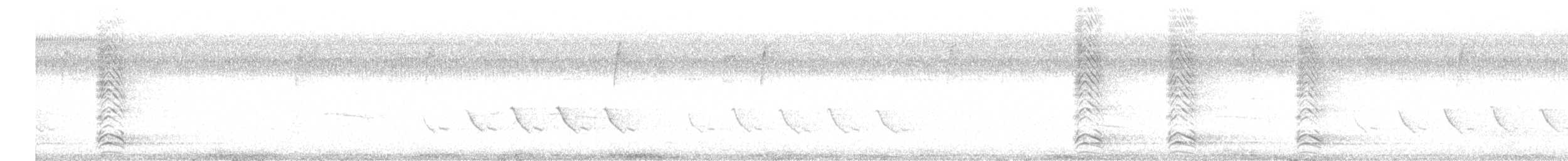 amerikakråke - ML623766530