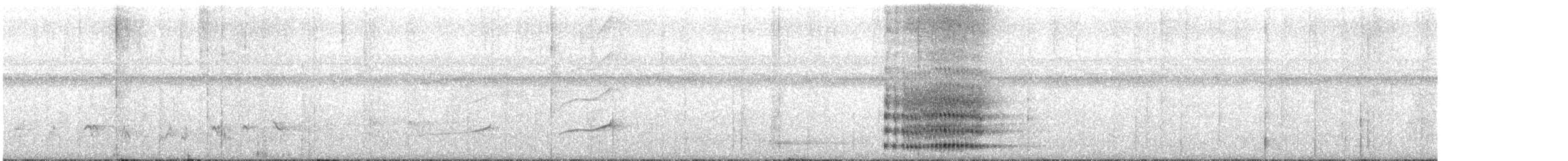 Rufous-sided Broadbill - ML623769404