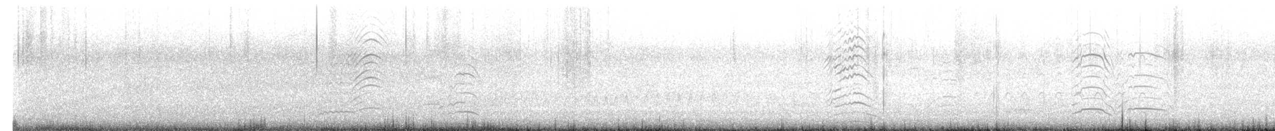 Gray Gull - ML623772116