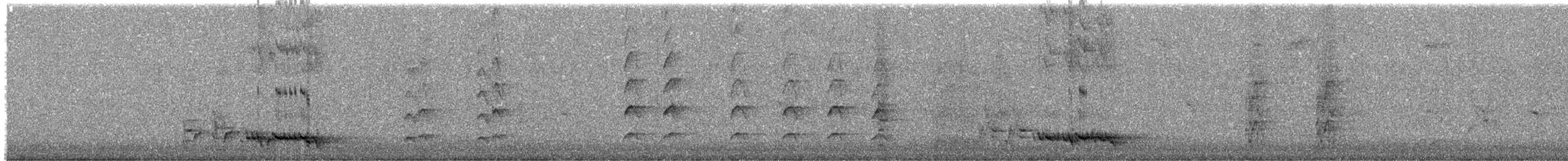 シロハラコウライウグイス - ML623778014