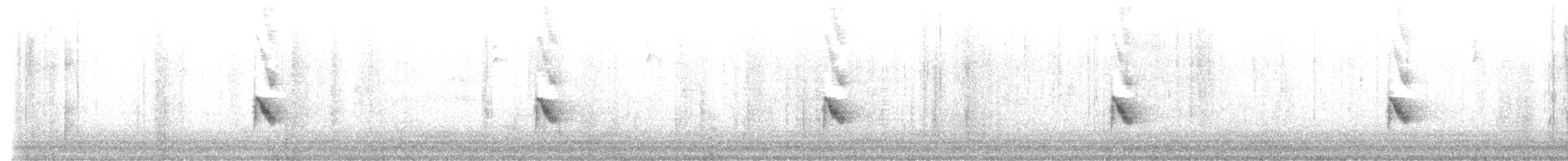 Bicknell's Thrush - ML623784068