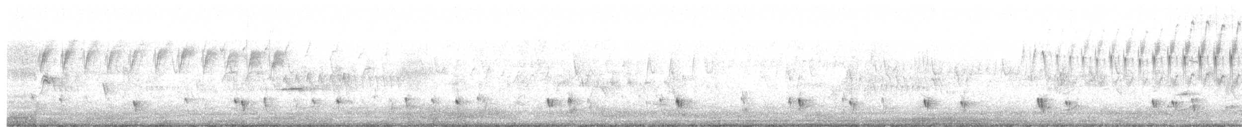 Silvery Grebe - ML623784841