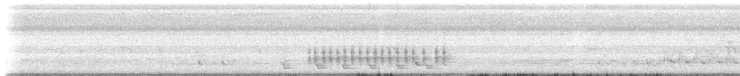 Kalın Çizgili Timalya [bornensis grubu] - ML623789367