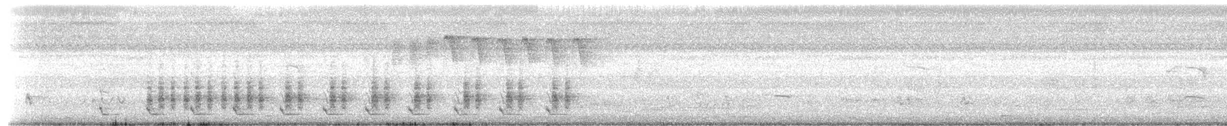 bredstripemeisetimal (bornensis gr.) - ML623789390