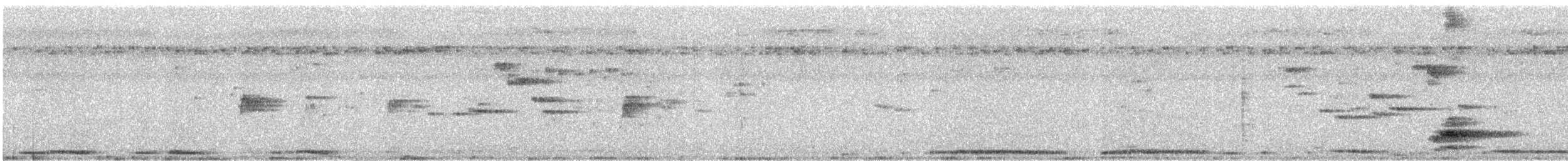 žluva černokápá - ML623790990