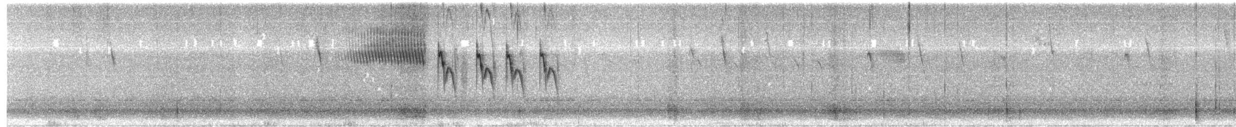 Yal Plebeyo - ML623797508