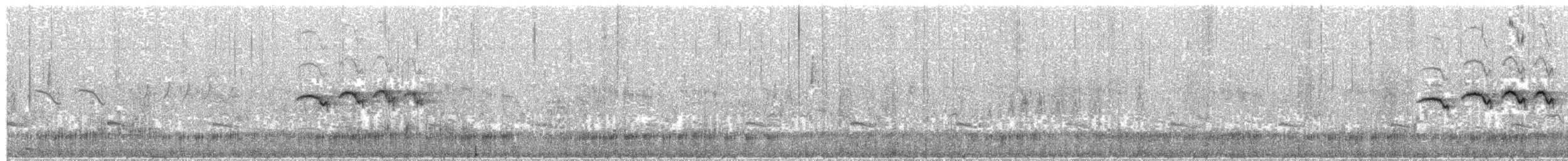 Бор хурагч - ML623801883