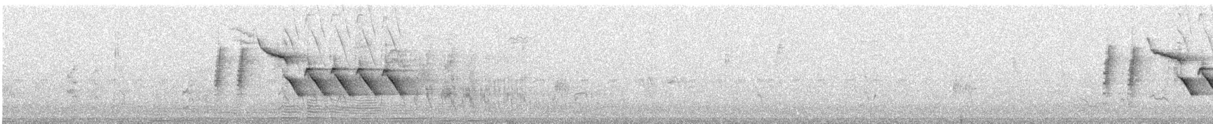 Bewick's Wren - ML623802674