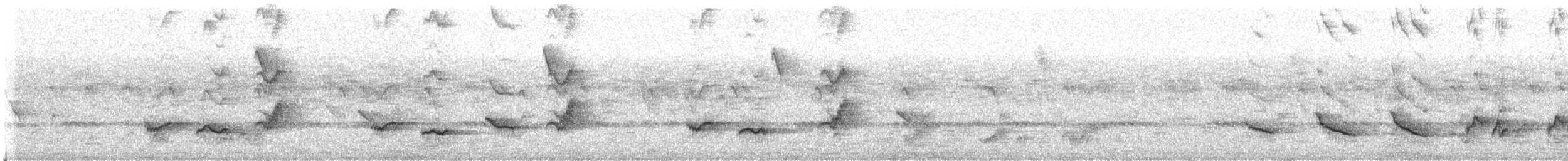 Abyssinian Thrush - ML623815853