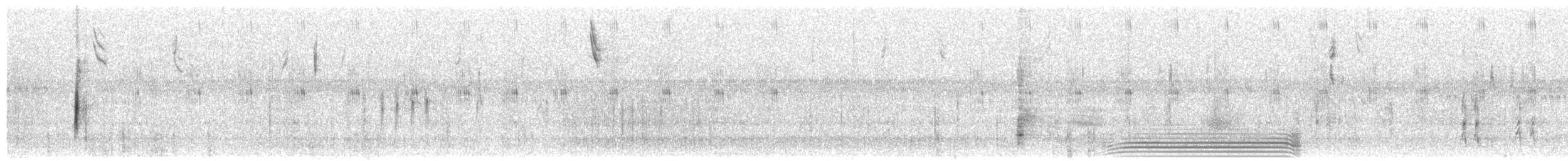 דיקסיסל - ML623818133