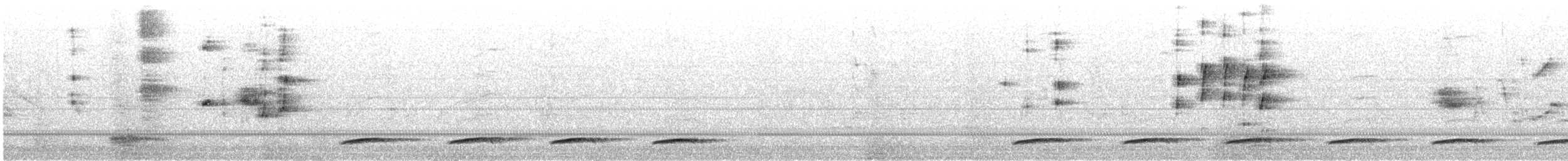 Common Scimitarbill - ML623832517