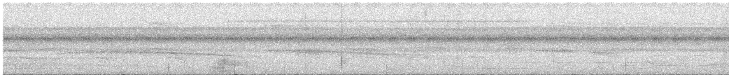 Graubrust-Ameisendrossel [analis-Gruppe] - ML623839963