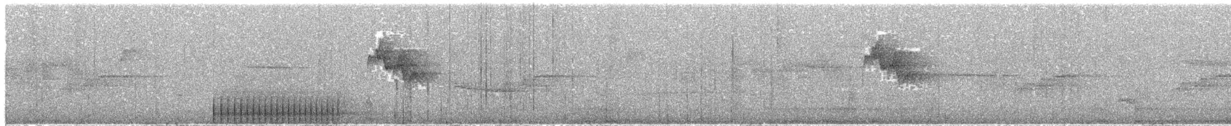 Stripe-breasted Woodpecker - ML623844621