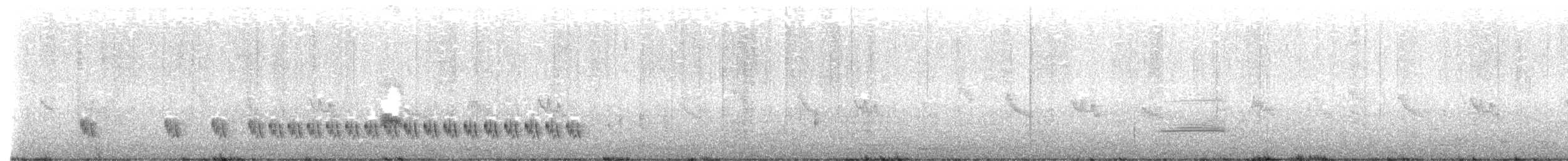 Little Rush Warbler - ML623848821