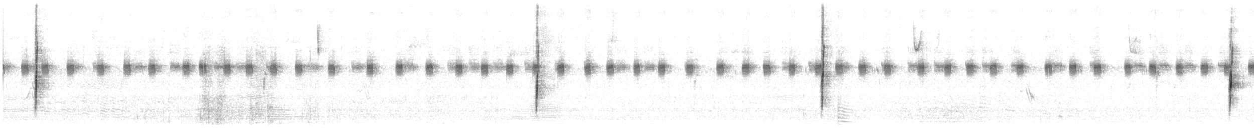 דיקסיסל - ML623850256