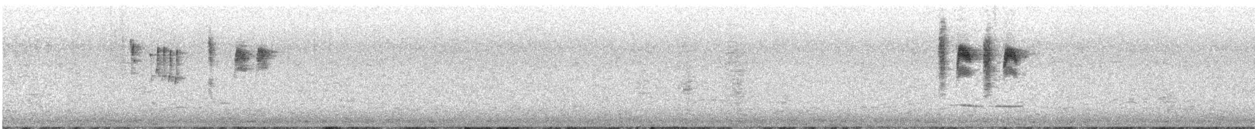 Brown Thornbill - ML623857288