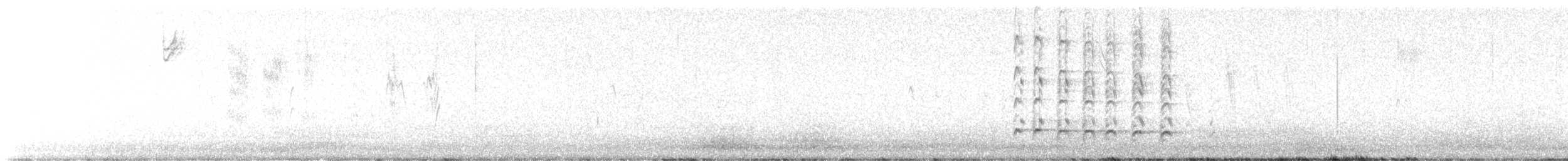チュウシャクシギ（亜種 アメリカチュウシャクシギ） - ML623865681