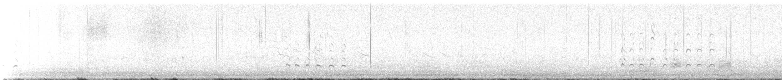 チュウシャクシギ（亜種 アメリカチュウシャクシギ） - ML623865727