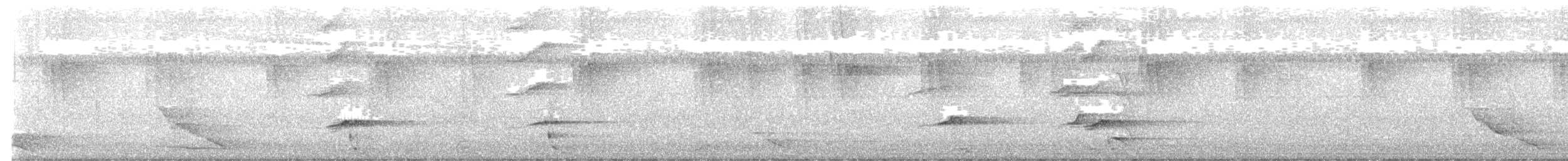 Common Hill Myna - ML623865744