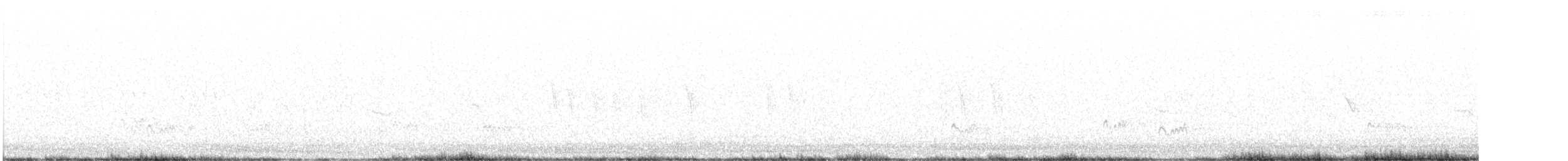 Ash-throated Flycatcher - ML623869732