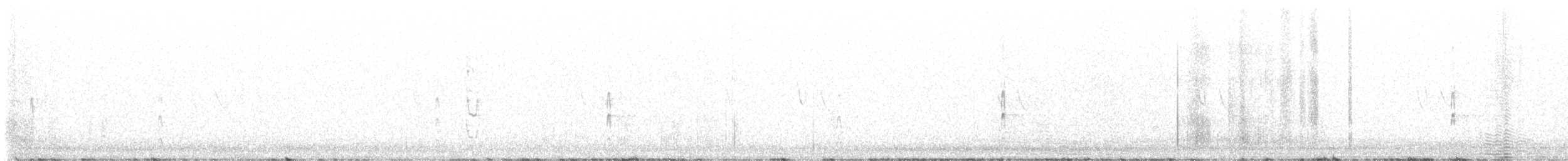 Western Kingbird - ML623869925
