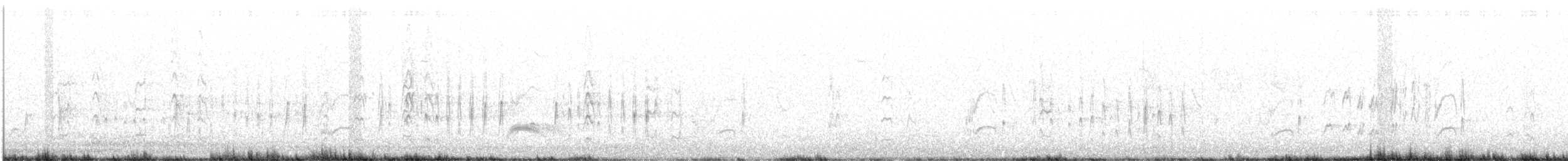 Cassin's Kingbird - ML623869948